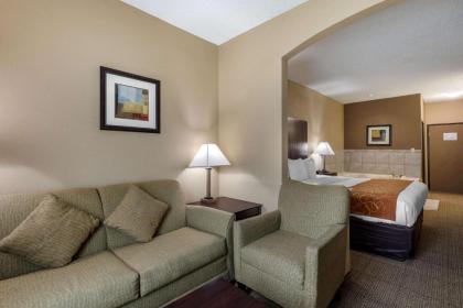 Comfort Suites The Colony - Plano West - image 11