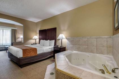 Comfort Suites The Colony - Plano West - image 13