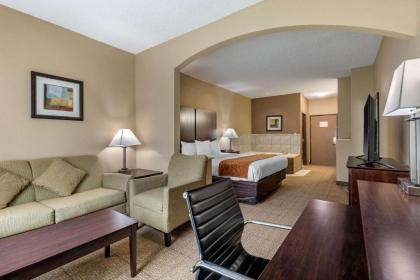 Comfort Suites The Colony - Plano West - image 14