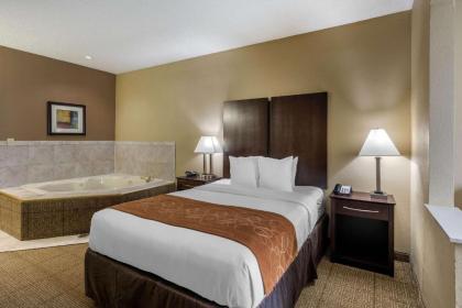 Comfort Suites The Colony - Plano West - image 15