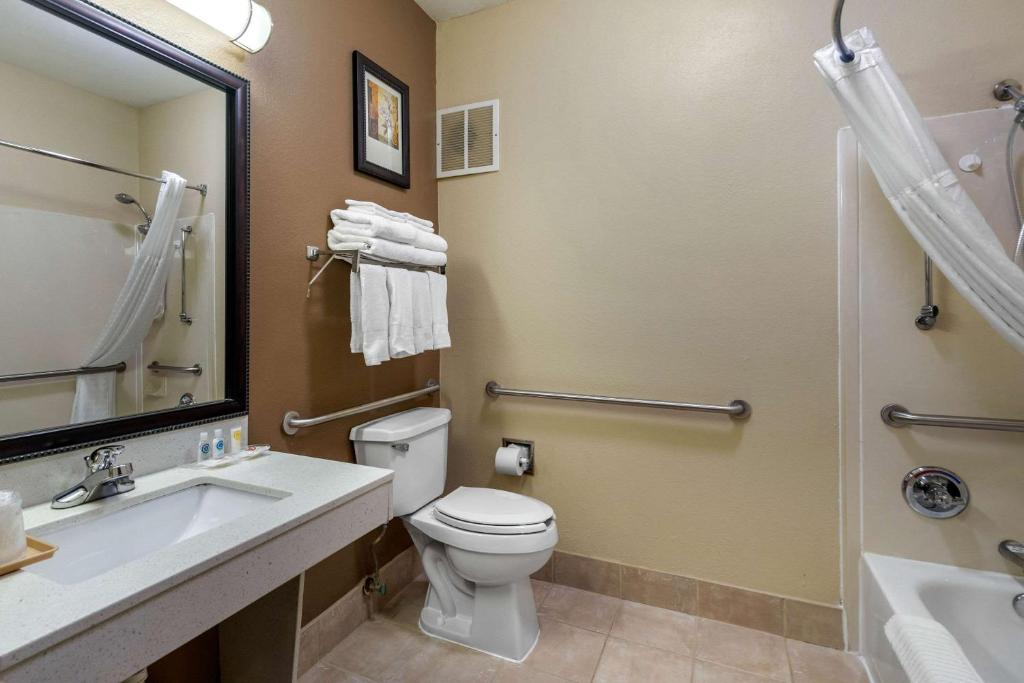 Comfort Suites The Colony - Plano West - image 5