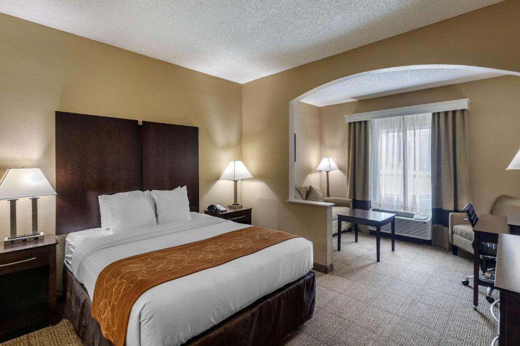 Comfort Suites The Colony - Plano West - image 6