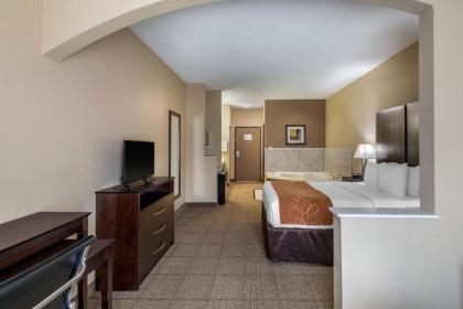 Comfort Suites The Colony - Plano West - image 9