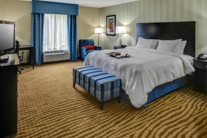 Hampton Inn Thomson - image 10