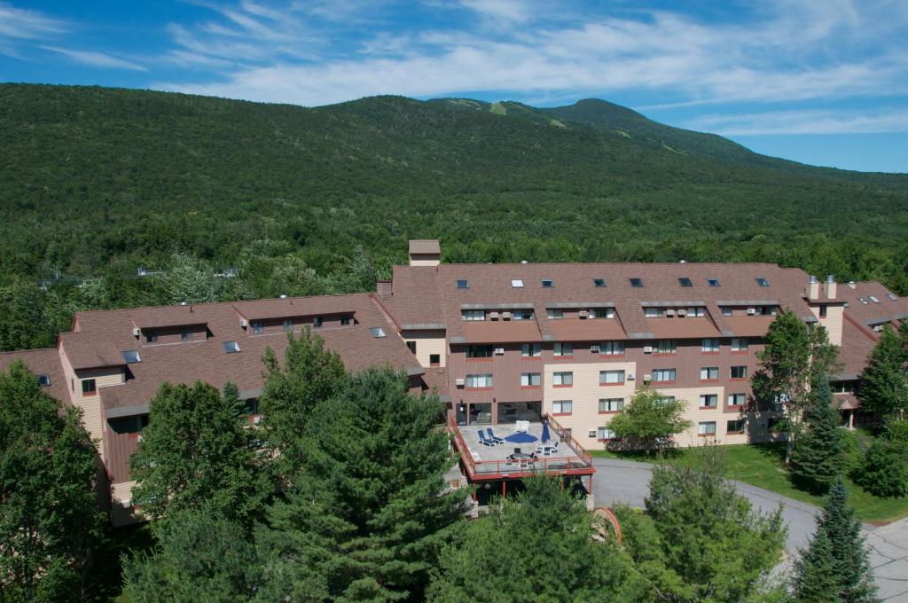 Black Bear Lodge - main image