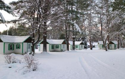 Pine Valley Cabins - image 8