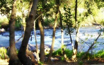 Rio Sierra Riverhouse - image 7