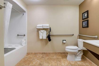 Comfort Inn and Suites Tifton - image 15