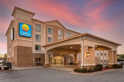 Comfort Inn and Suites Tifton - image 8