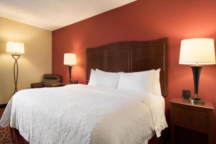 Hampton Inn Chicago-Tinley Park - image 17