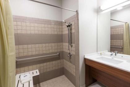 Microtel Inn & Suites by Wyndham Tioga - image 2