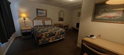 Twin Pine Motel - image 12