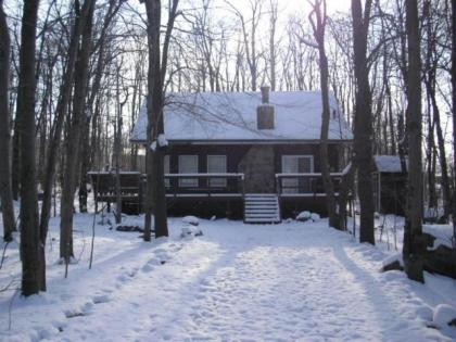 Woodland Modern Cabin close to Skiing Kalahari Water Park Camelback and Casino - image 4