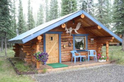 Fox n Fireweed Cabins Alaska