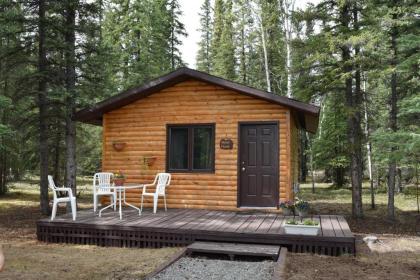 Fox n Fireweed Cabins - image 4