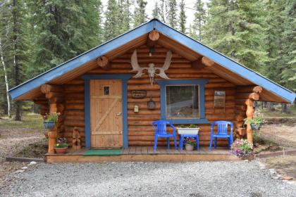 Fox n Fireweed Cabins - image 5