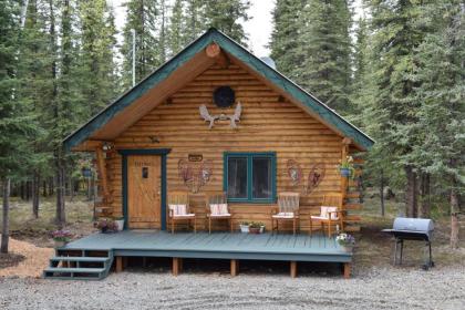 Fox n Fireweed Cabins - image 6