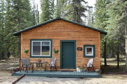 Fox n Fireweed Cabins - image 7