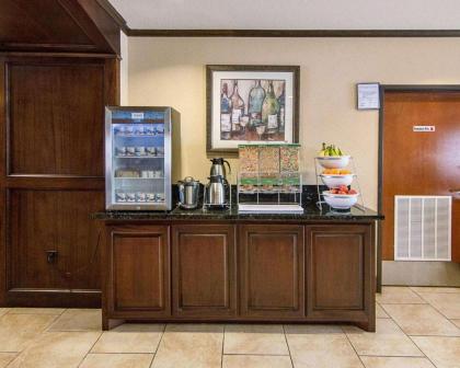 Comfort Suites - Tomball - image 10