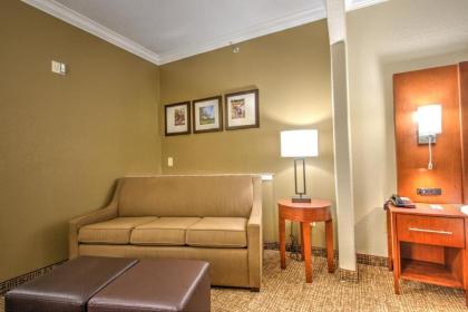 Comfort Suites - Tomball - image 14