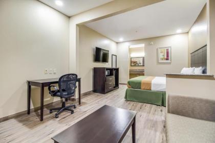 Americas Best Value Inn & Suites Tomball - image 8