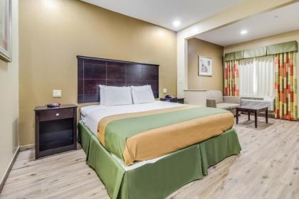 Americas Best Value Inn & Suites Tomball - image 9