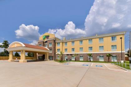 Holiday Inn Express Tomball an IHG Hotel - image 1