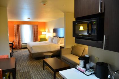 Holiday Inn Express Tomball an IHG Hotel - image 5