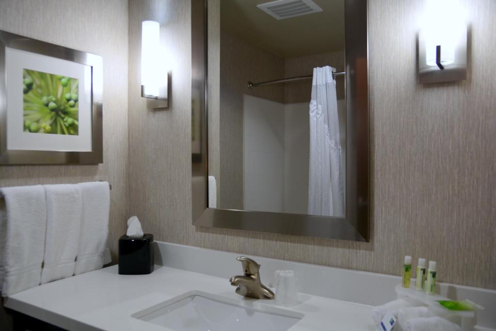 Holiday Inn Express Tomball an IHG Hotel - image 7