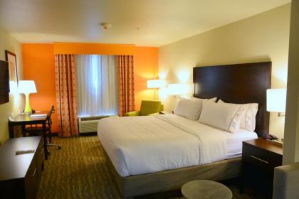 Holiday Inn Express Tomball an IHG Hotel - image 8