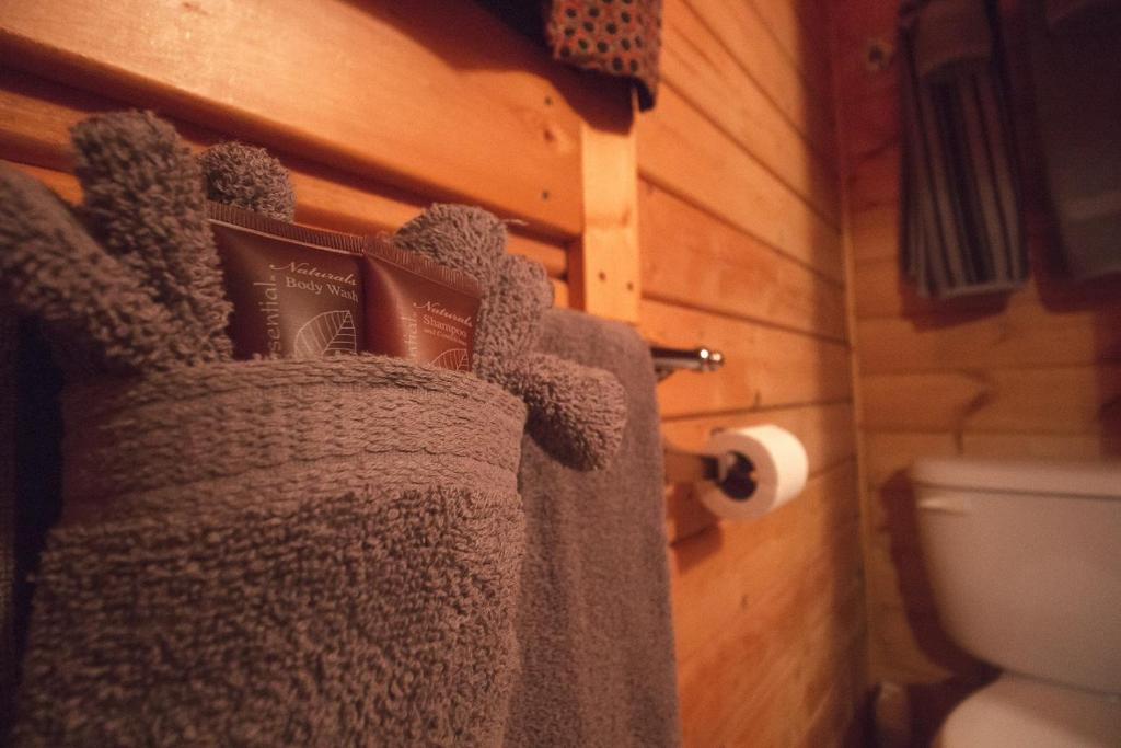 Katie's Cozy Cabins - image 5