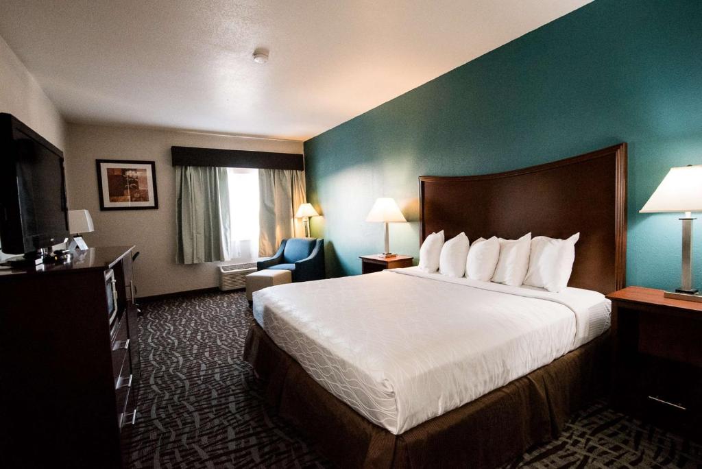 Best Western Topeka Inn & Suites - main image