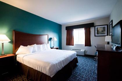 Best Western Topeka Inn & Suites - image 15