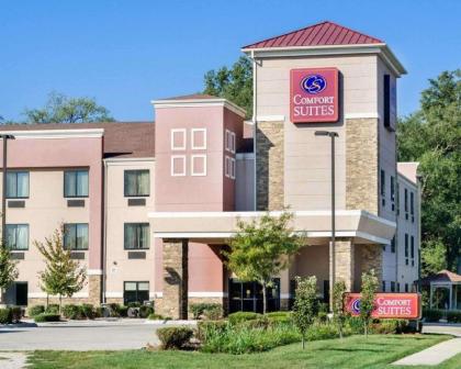 Comfort Suites Topeka - image 15