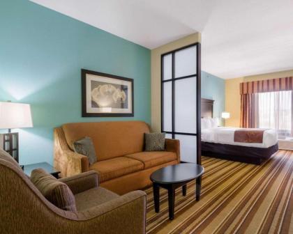 Comfort Suites Topeka - image 2