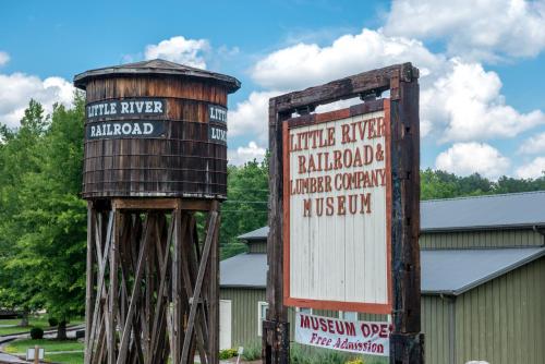 Twin Cub Lodge - image 3