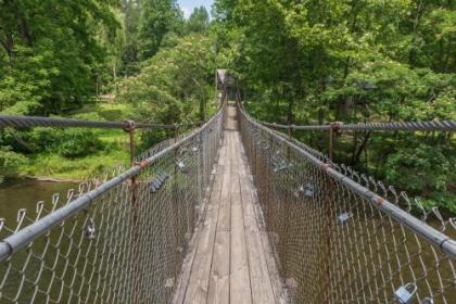 Treetop Tennessee - image 2