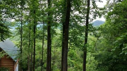 Blessed Nest Cabin - image 1