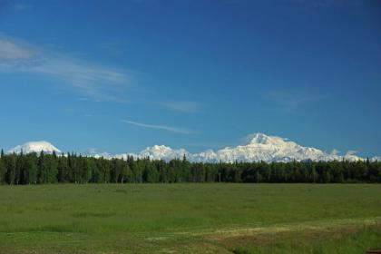 McKinley View B&B - image 12