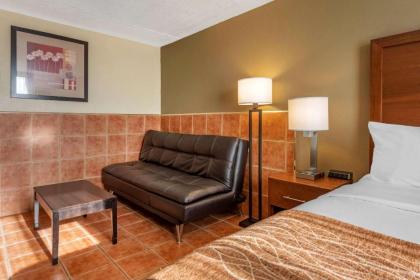 Comfort Inn & Suites - image 11