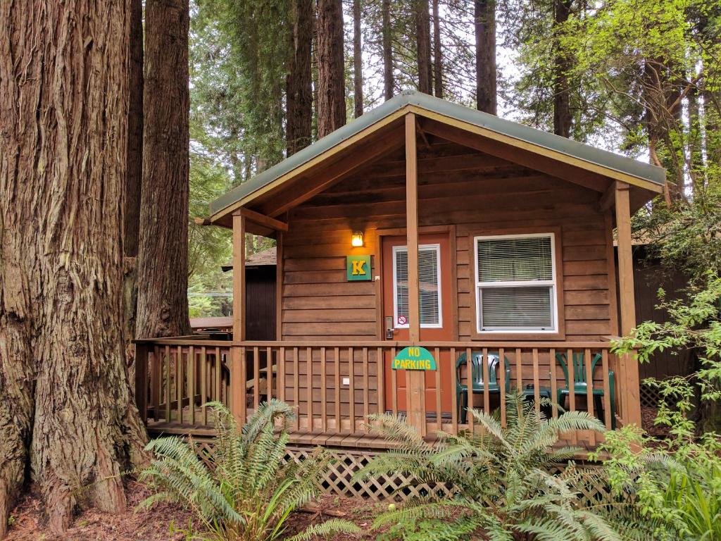 Emerald Forest Cabins - main image