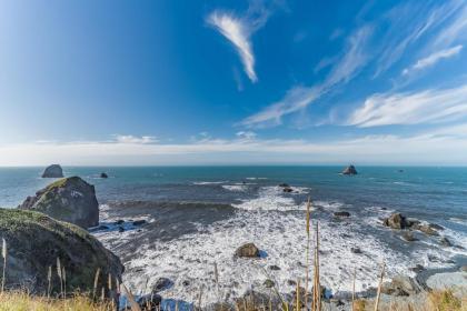 Whale Rock Suites - image 4