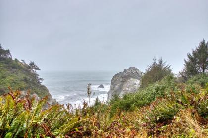 Scotty Point Cabin on the Bluff - image 11