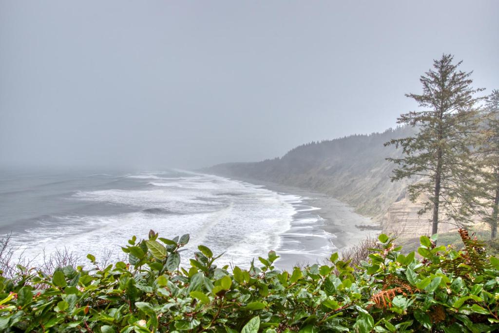 Scotty Point Cabin on the Bluff - image 4