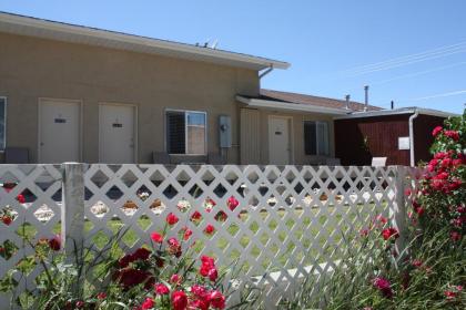 Bybee's Steppingstone Motel - image 10