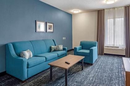 Comfort Inn & Suites Troutville - Roanoke North / Daleville - image 14