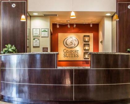 Comfort Suites Troy - image 14