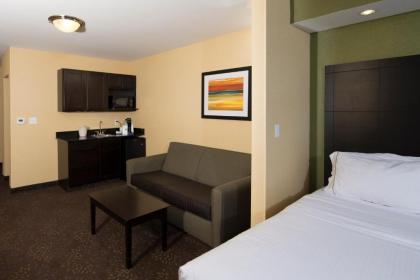 Holiday Inn Express and Suites Detroit North-Troy an IHG Hotel - image 10