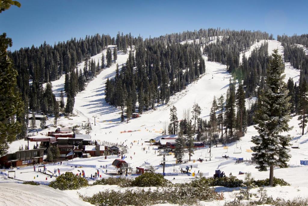 Northstar Ski Trails - image 2