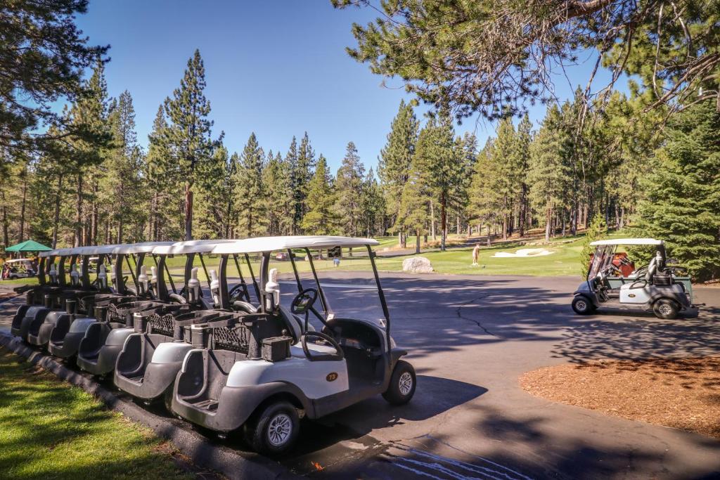 Snowpeak Chalet in Tahoe Donner - image 4